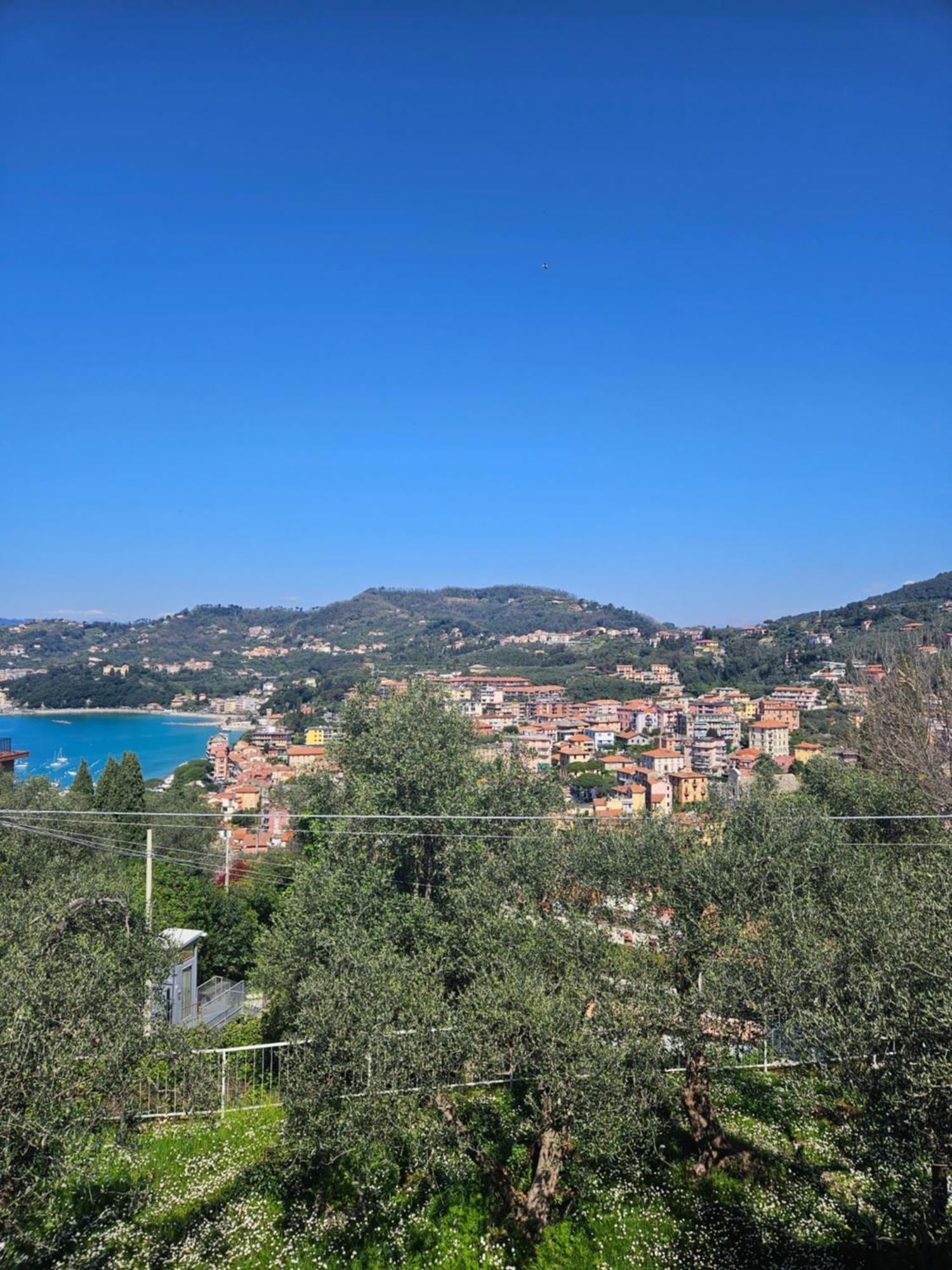 Villa Degli Ulivi - Free Parking Lerici Exterior photo